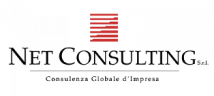 Net Consulting