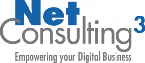 Net Consulting